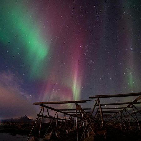 Fish Factory -The Real Lofoten Experience Баллстад Екстер'єр фото